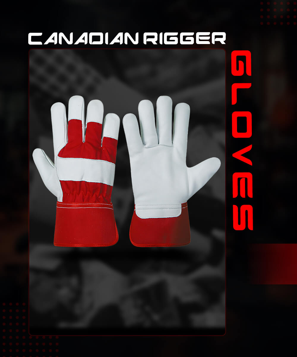canadian-rigger-img-cat